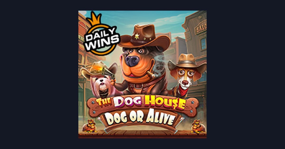 Mengenal The Dog House Dog Or Alive: Link Slot Gacor dengan Fitur Menarik