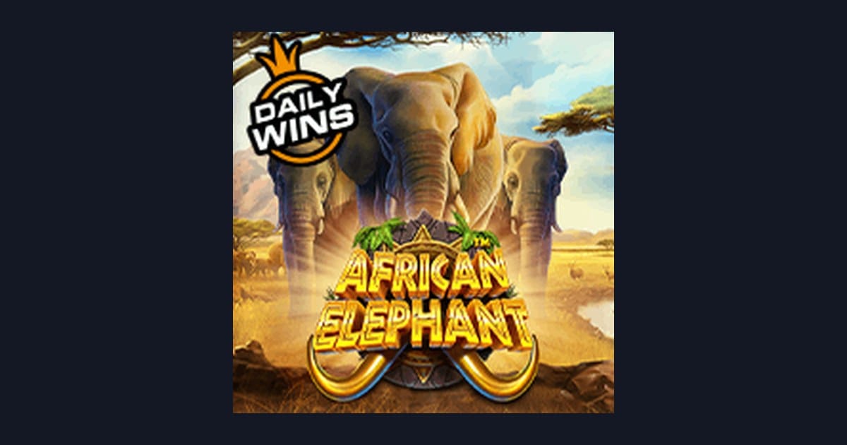 Raih Slot Maxwin Seru dengan African Elephant dari Pragmatic Play